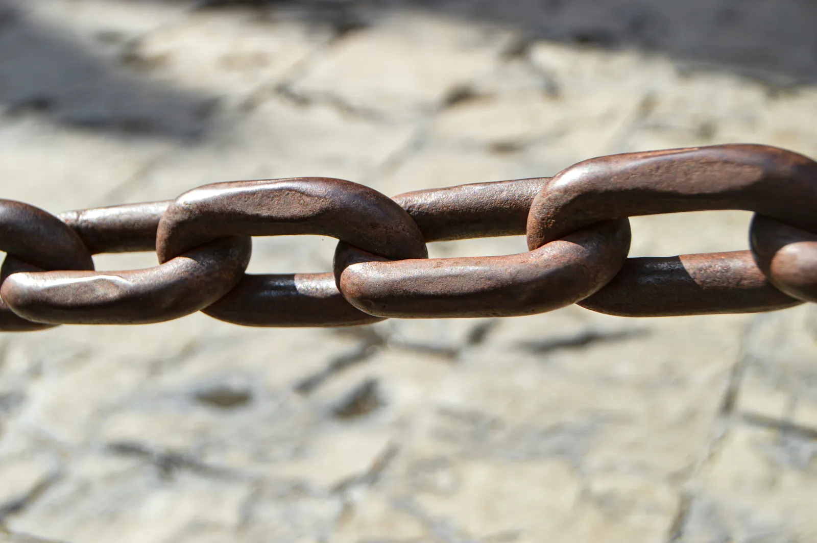🕵️‍♂️ J'ai dit adieu aux liens brisés : Mon aventure avec LinkaVist
